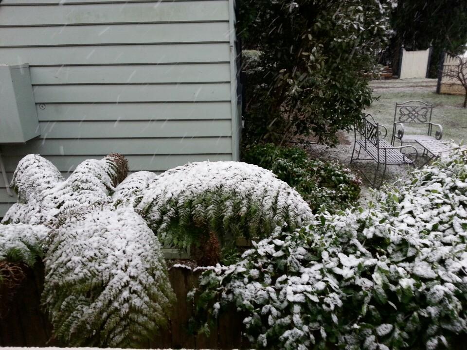 Hotel Avonleigh Katoomba Esterno foto